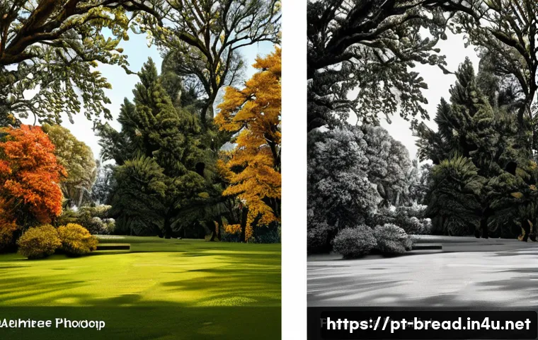 제빵사 직업 전망 - Here are three image prompts in English, designed for image generation, adhering to all specified gu...